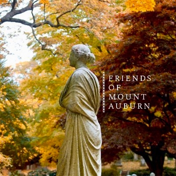 mount auburn logo